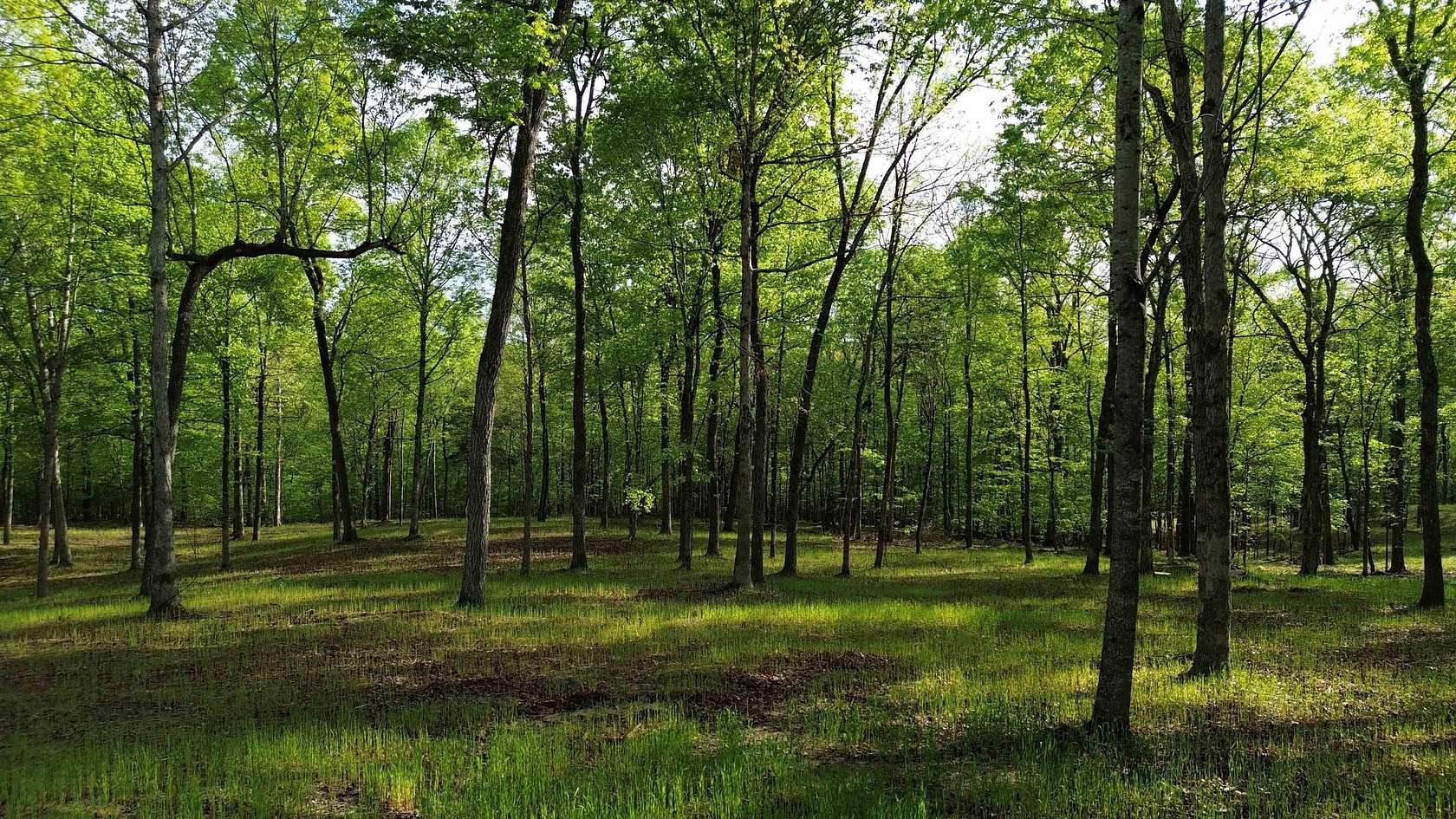 5 Acres of Residential Land for Sale in Bath Springs, Tennessee