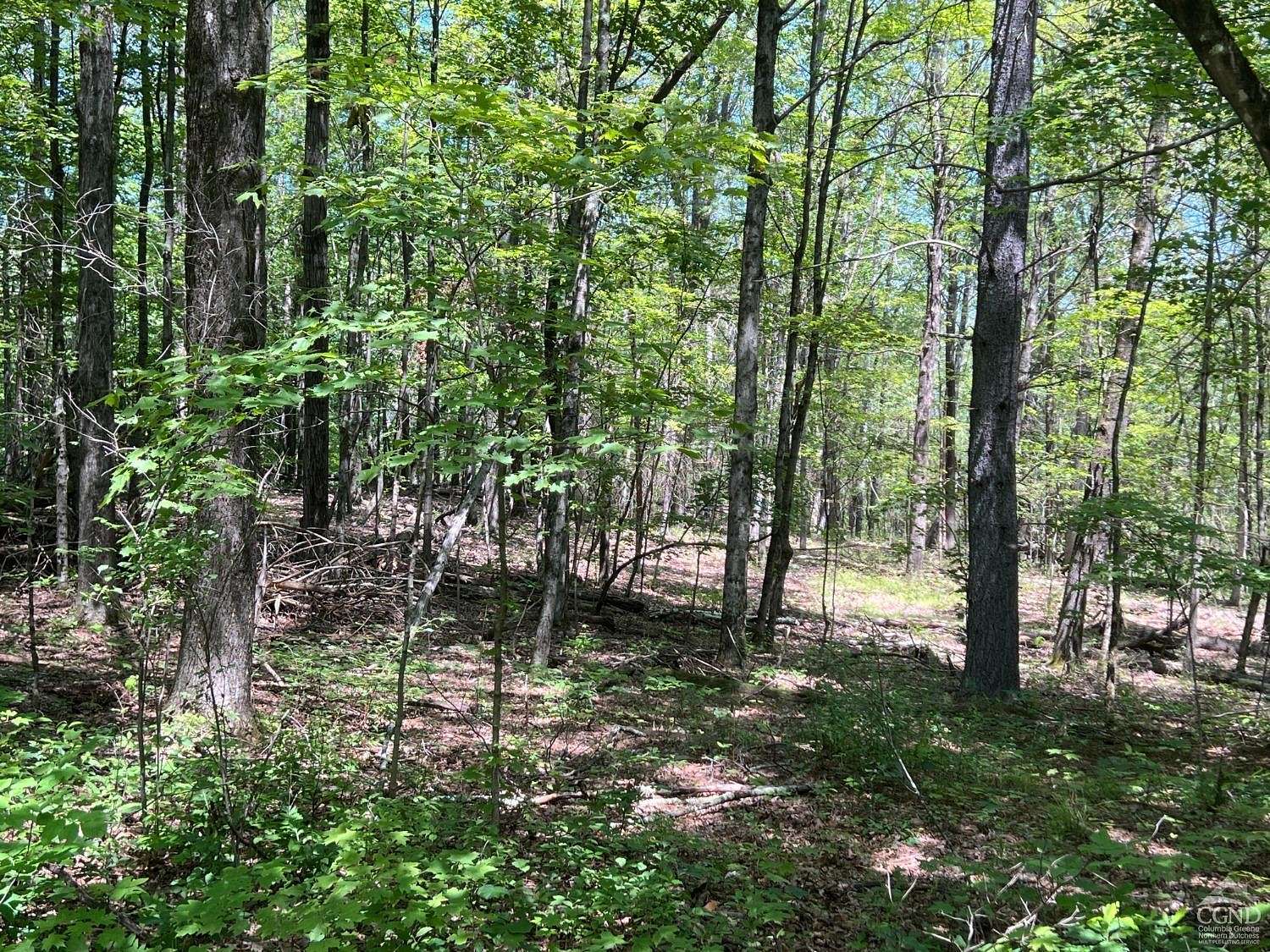 15 Acres of Land for Sale in Taghkanic, New York