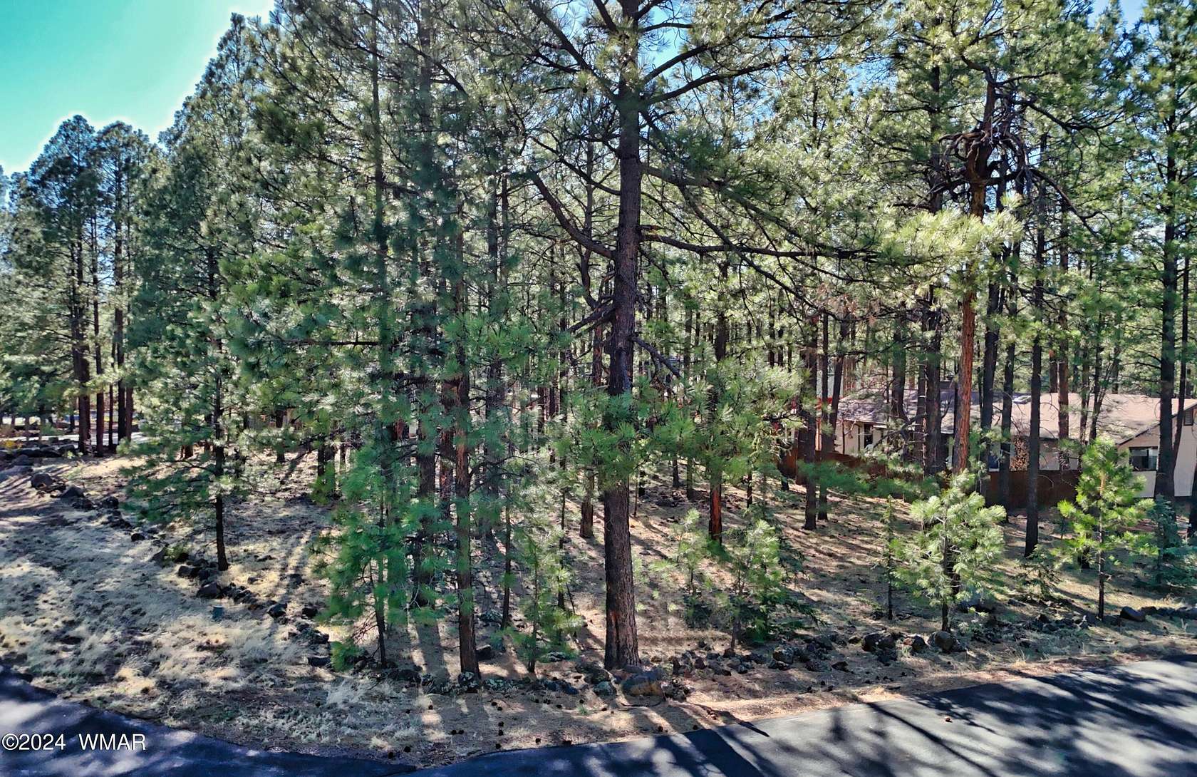 0.34 Acres of Residential Land for Sale in Pinetop, Arizona