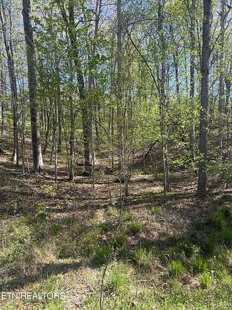 0.29 Acres of Residential Land for Sale in Crossville, Tennessee