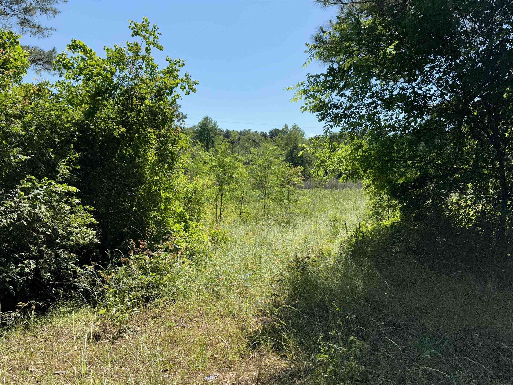 14.6 Acres of Land for Sale in Center, Texas