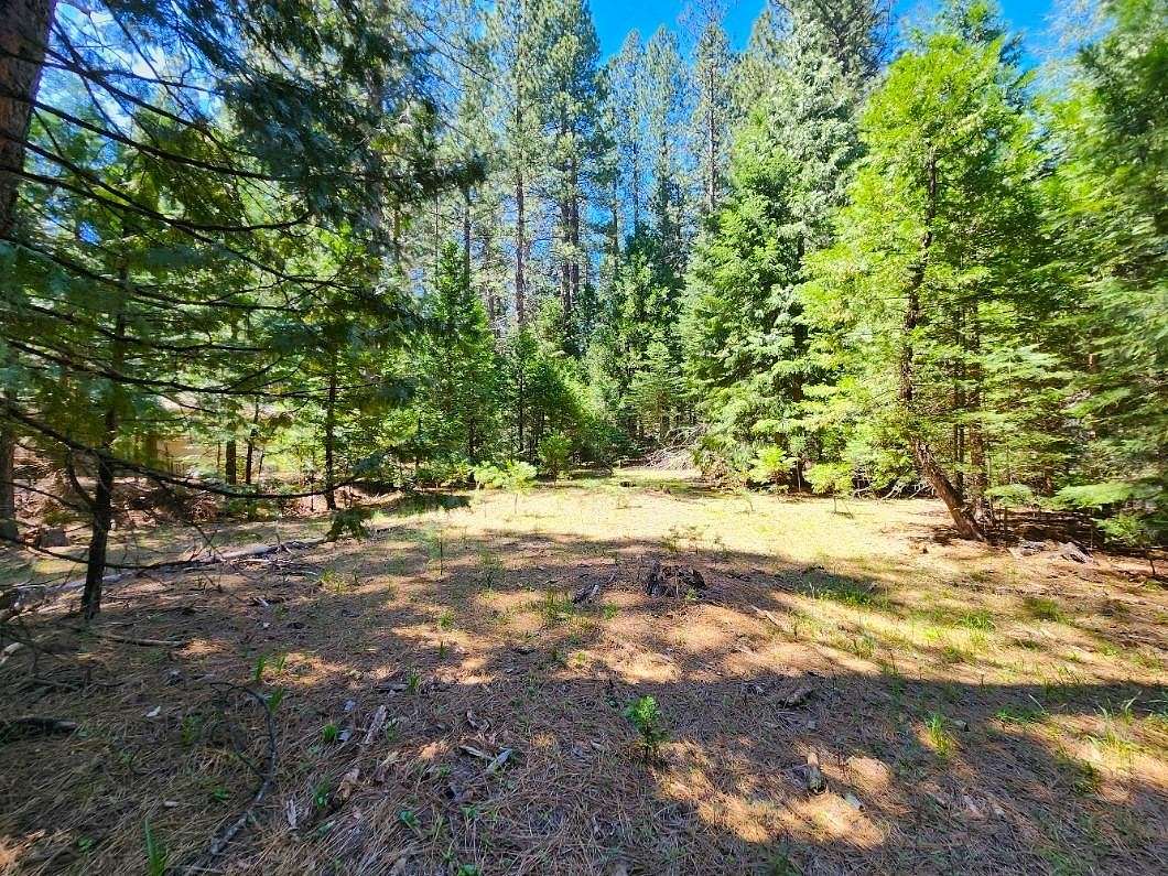 0.53 Acres of Residential Land for Sale in West Point, California