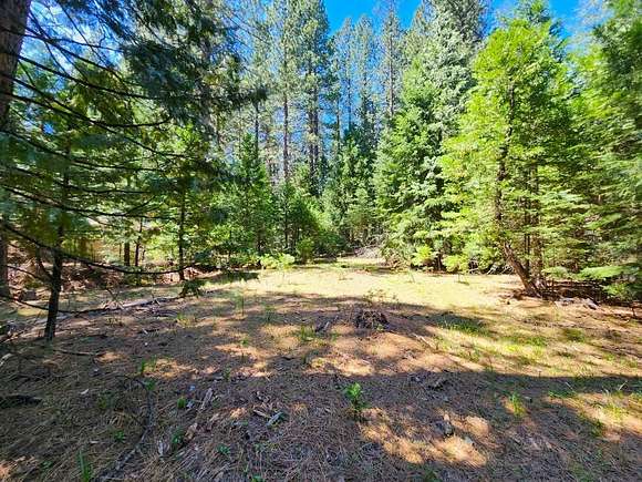 0.53 Acres of Residential Land for Sale in West Point, California
