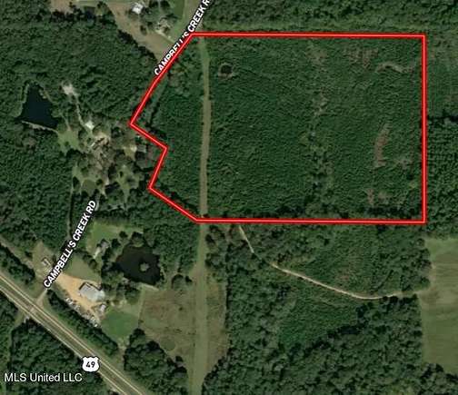 53.2 Acres of Recreational Land for Sale in Mendenhall, Mississippi