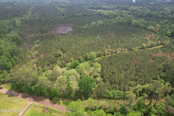 53.2 Acres of Recreational Land for Sale in Mendenhall, Mississippi