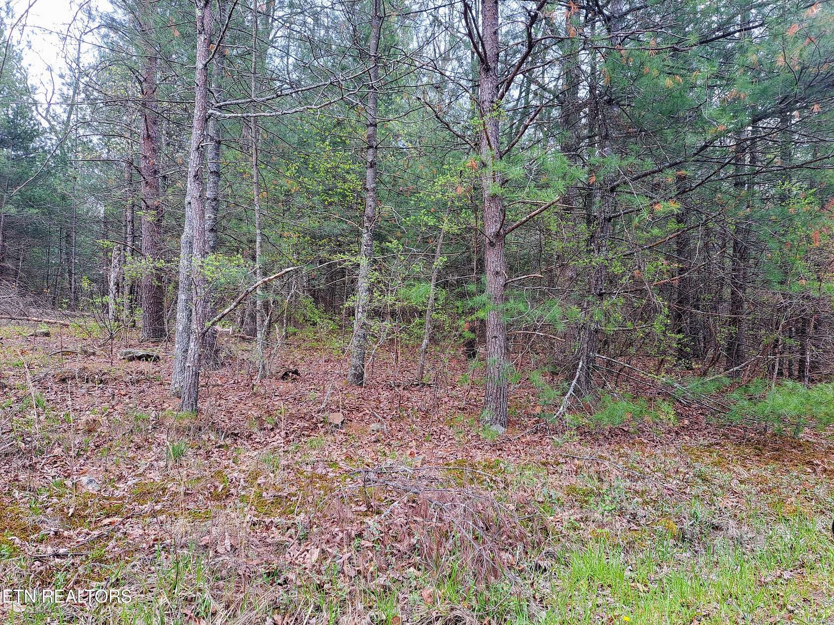 0.26 Acres of Residential Land for Sale in Crossville, Tennessee