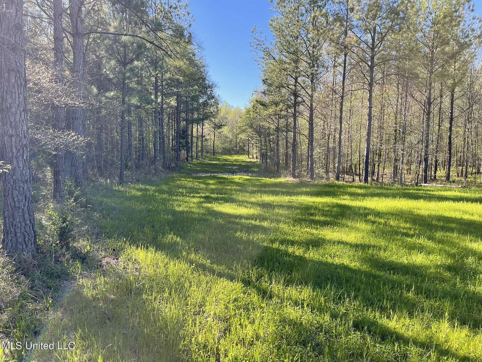 58 Acres of Recreational Land for Sale in Ackerman, Mississippi