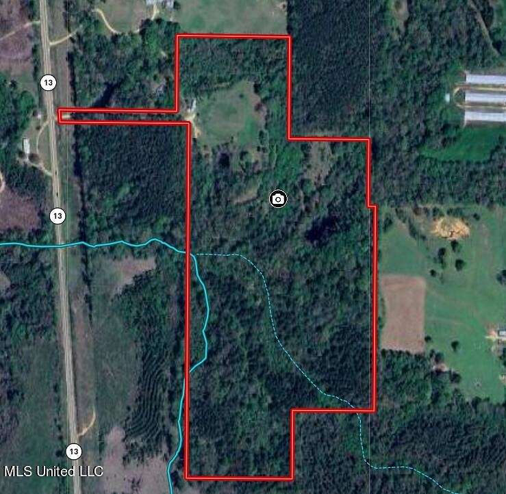 40 Acres of Recreational Land for Sale in Mendenhall, Mississippi