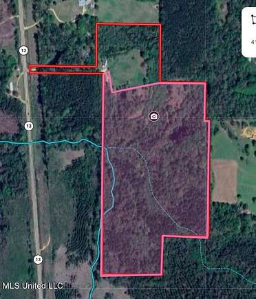 40 Acres of Recreational Land for Sale in Mendenhall, Mississippi