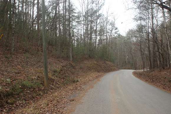 2 Acres of Land for Sale in Ellijay, Georgia