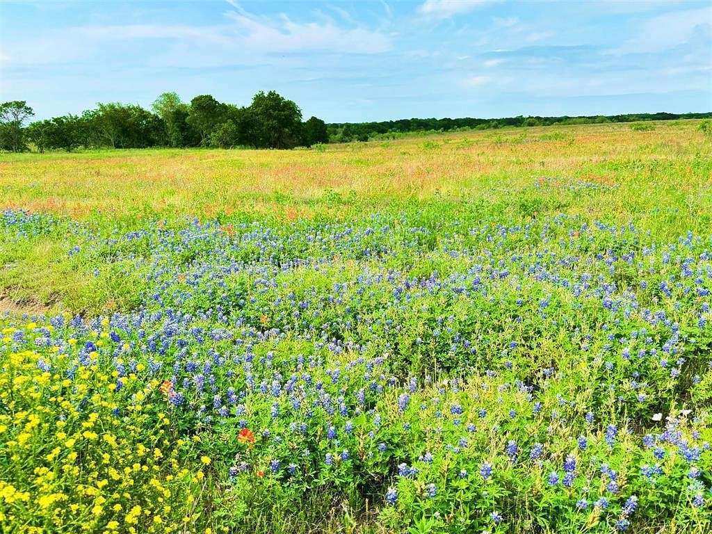 10 Acres of Land for Sale in Hubbard, Texas