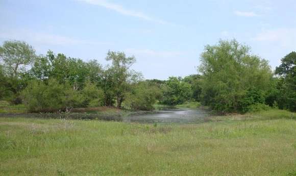 53.4 Acres of Agricultural Land for Sale in Barry, Texas