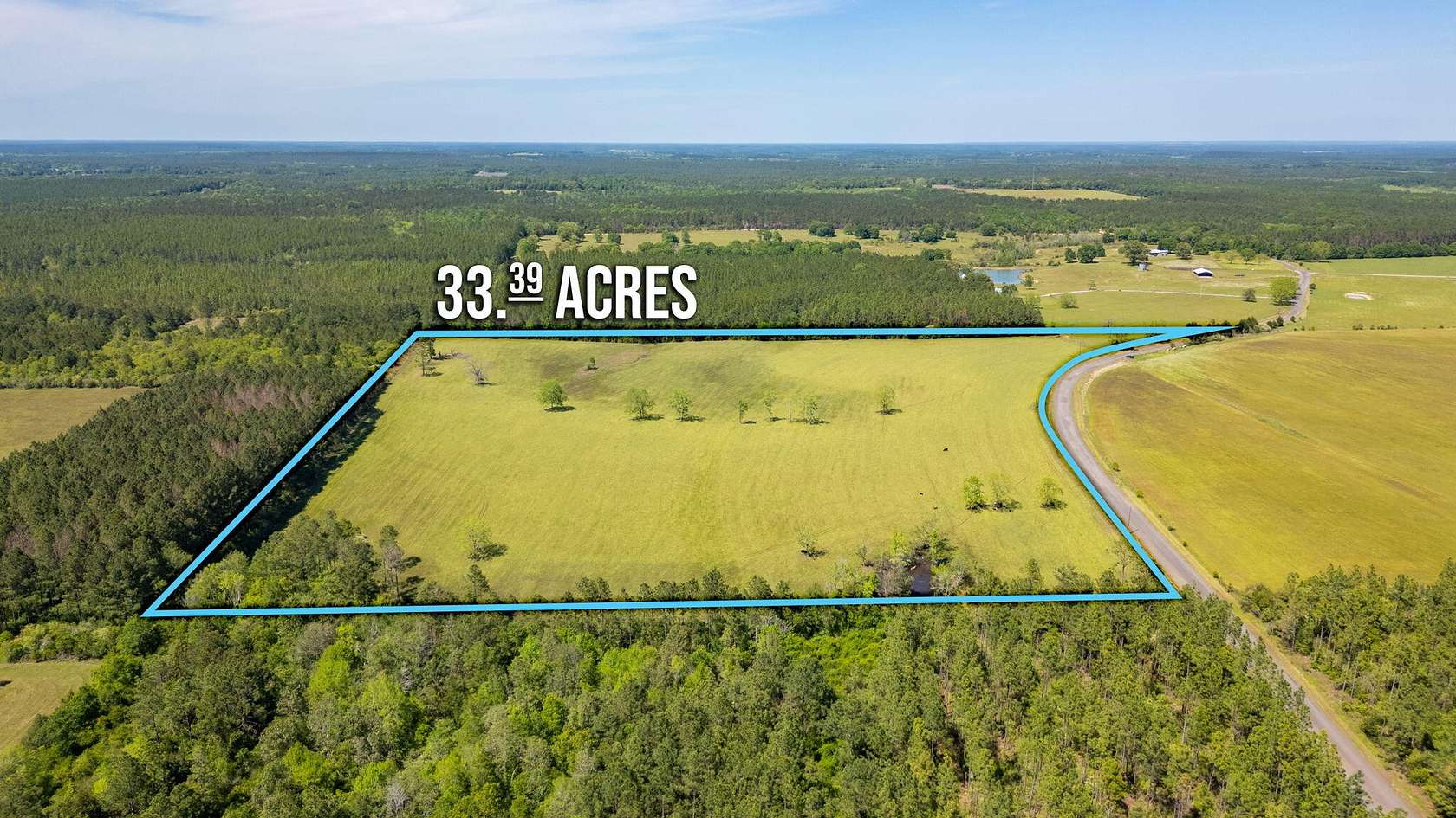 33.4 Acres of Agricultural Land for Sale in DeFuniak Springs, Florida