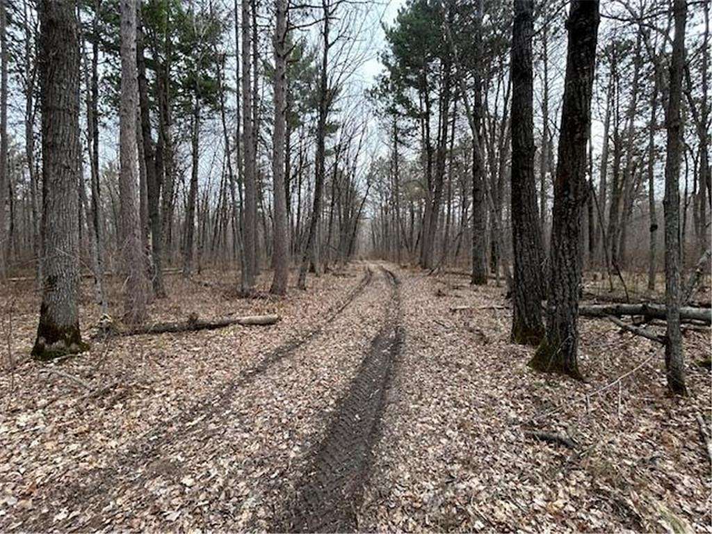 51.42 Acres of Recreational Land for Sale in Cass Lake, Minnesota