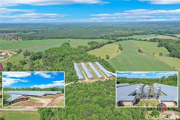 20 Acres of Agricultural Land for Sale in Lexington, Georgia
