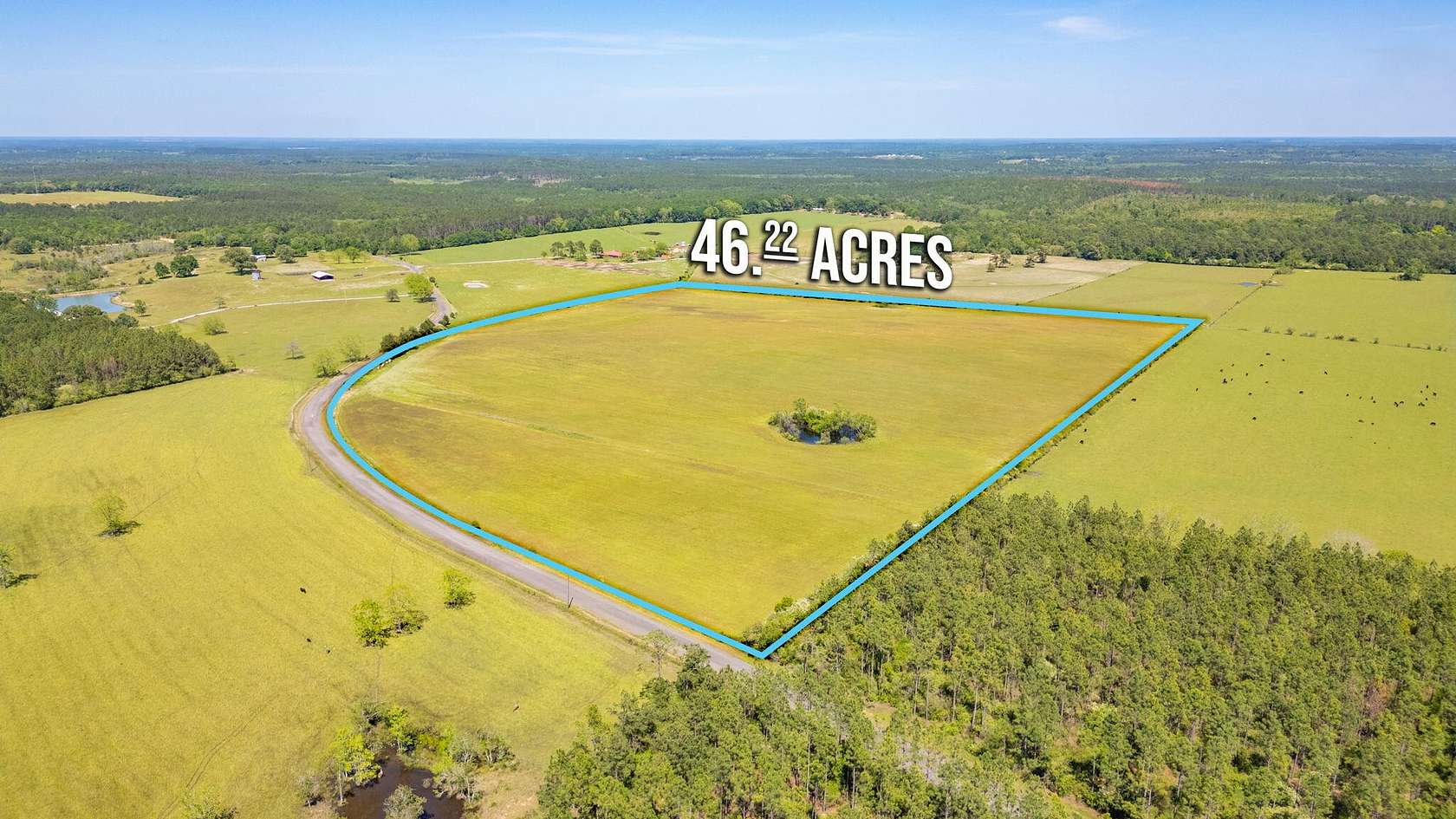 46.2 Acres of Agricultural Land for Sale in DeFuniak Springs, Florida