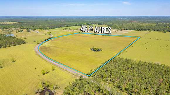 46.2 Acres of Agricultural Land for Sale in DeFuniak Springs, Florida