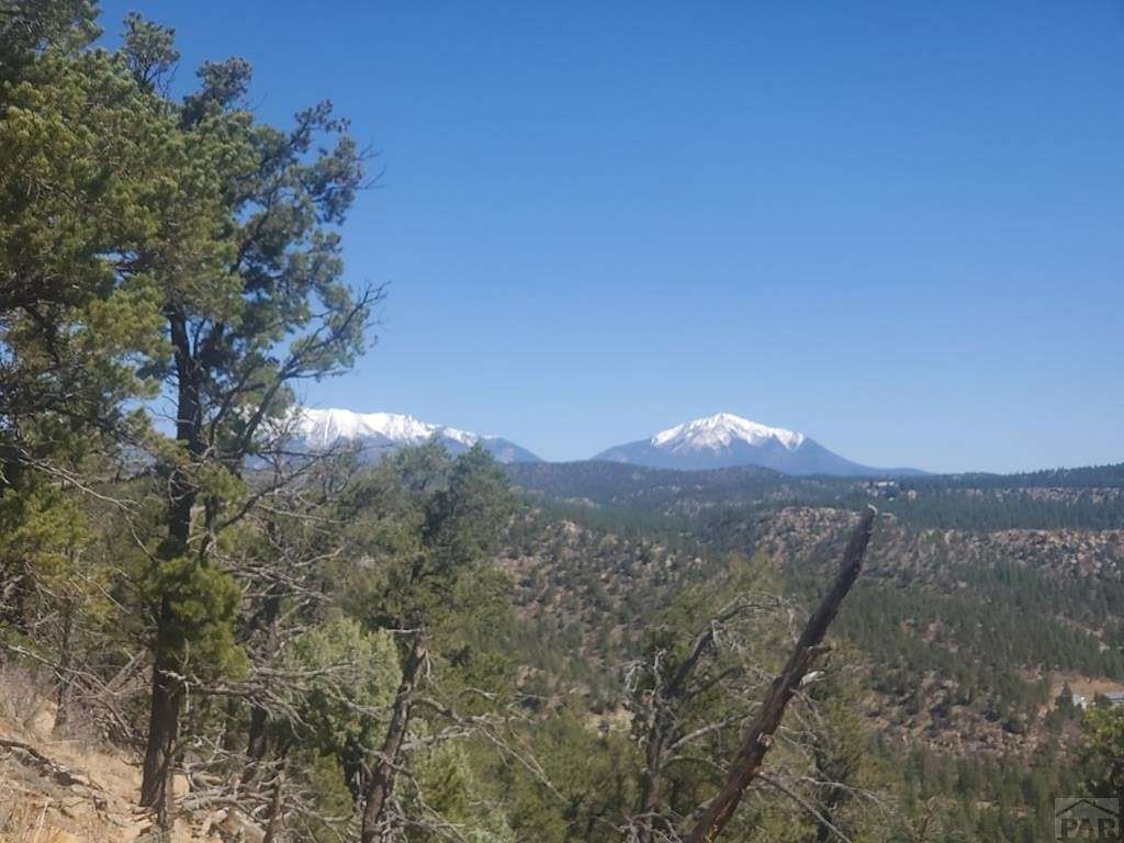 154 Acres of Recreational Land for Sale in Weston, Colorado