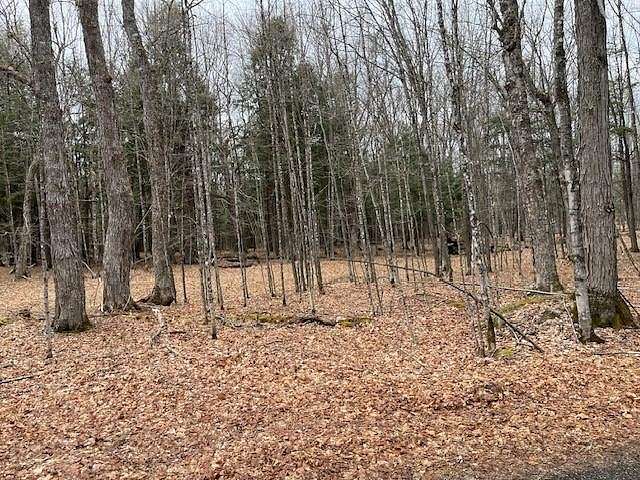2 Acres of Land for Sale in Land O' Lakes, Wisconsin