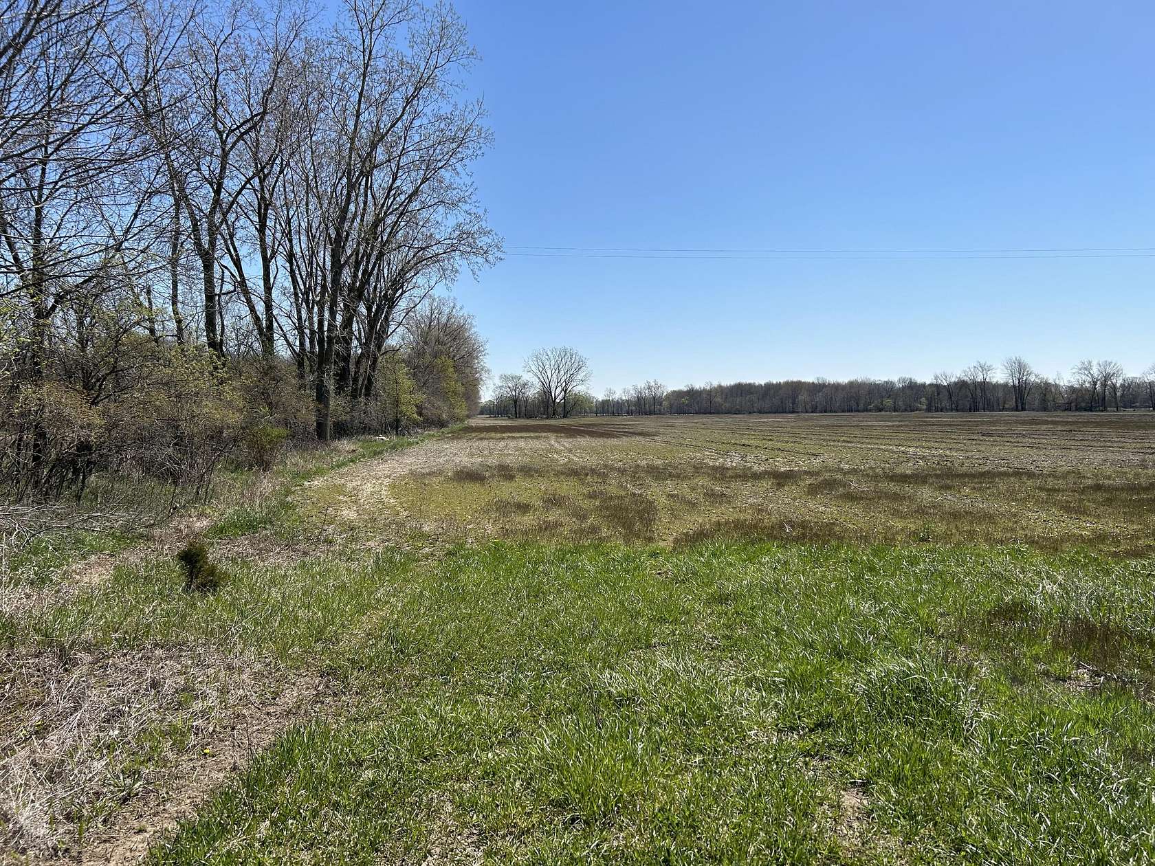 40 Acres of Agricultural Land for Sale in Elsie, Michigan