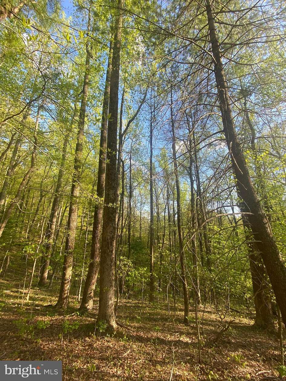2.5 Acres of Residential Land for Sale in Madison, Virginia