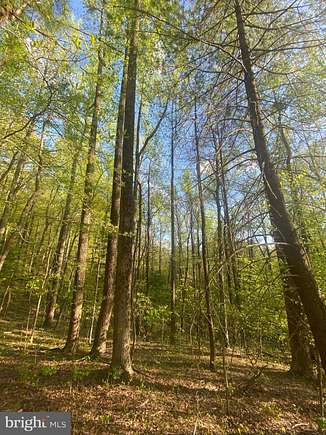 2.5 Acres of Residential Land for Sale in Madison, Virginia