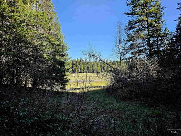 9 Acres of Land for Sale in Weippe, Idaho