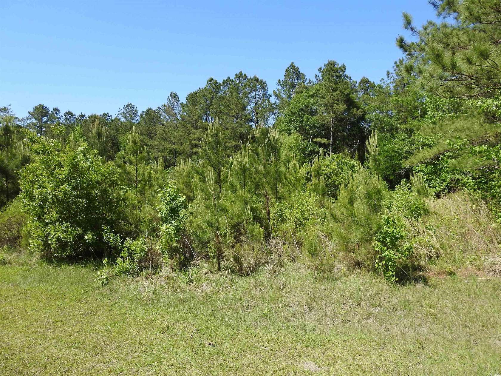 0.89 Acres of Residential Land for Sale in Conway, South Carolina