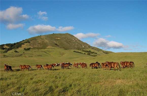 360 Acres of Agricultural Land for Sale in San Luis Obispo, California