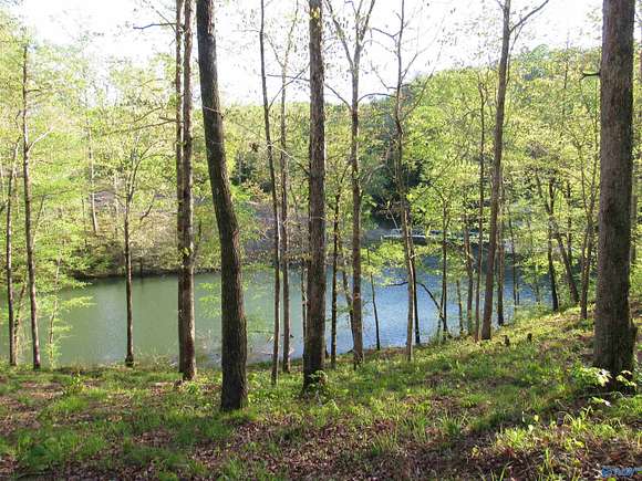 0.8 Acres of Land for Sale in Arley, Alabama