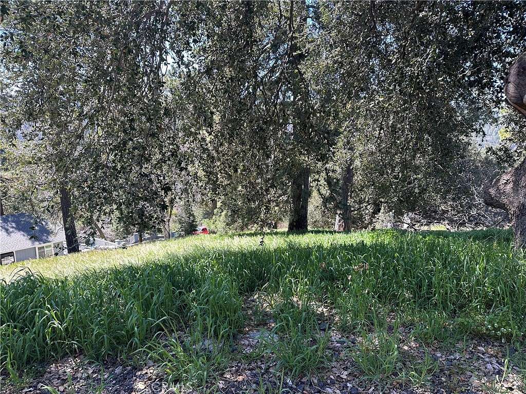 0.1 Acres of Residential Land for Sale in Cedarpines Park, California