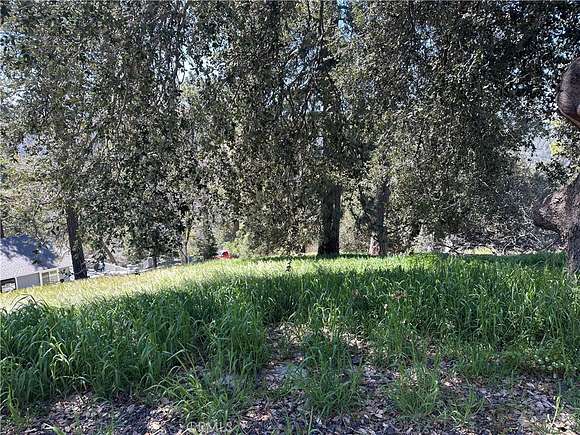 0.104 Acres of Residential Land for Sale in Cedarpines Park, California