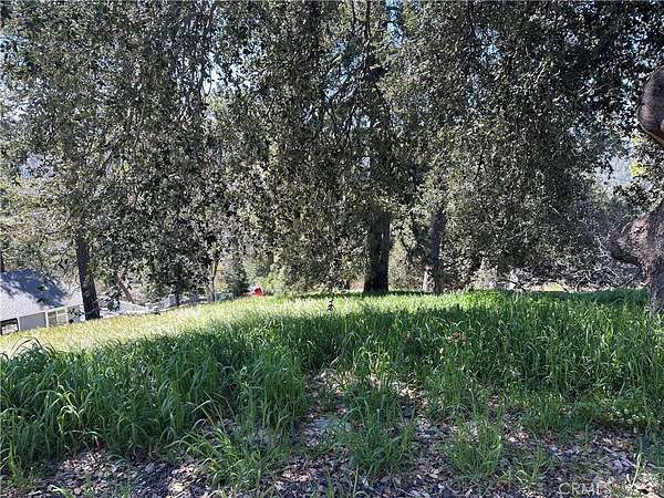 0.1 Acres of Land for Sale in Cedarpines Park, California