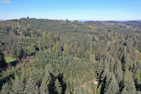 21.4 Acres of Recreational Land for Sale in Brush Prairie, Washington