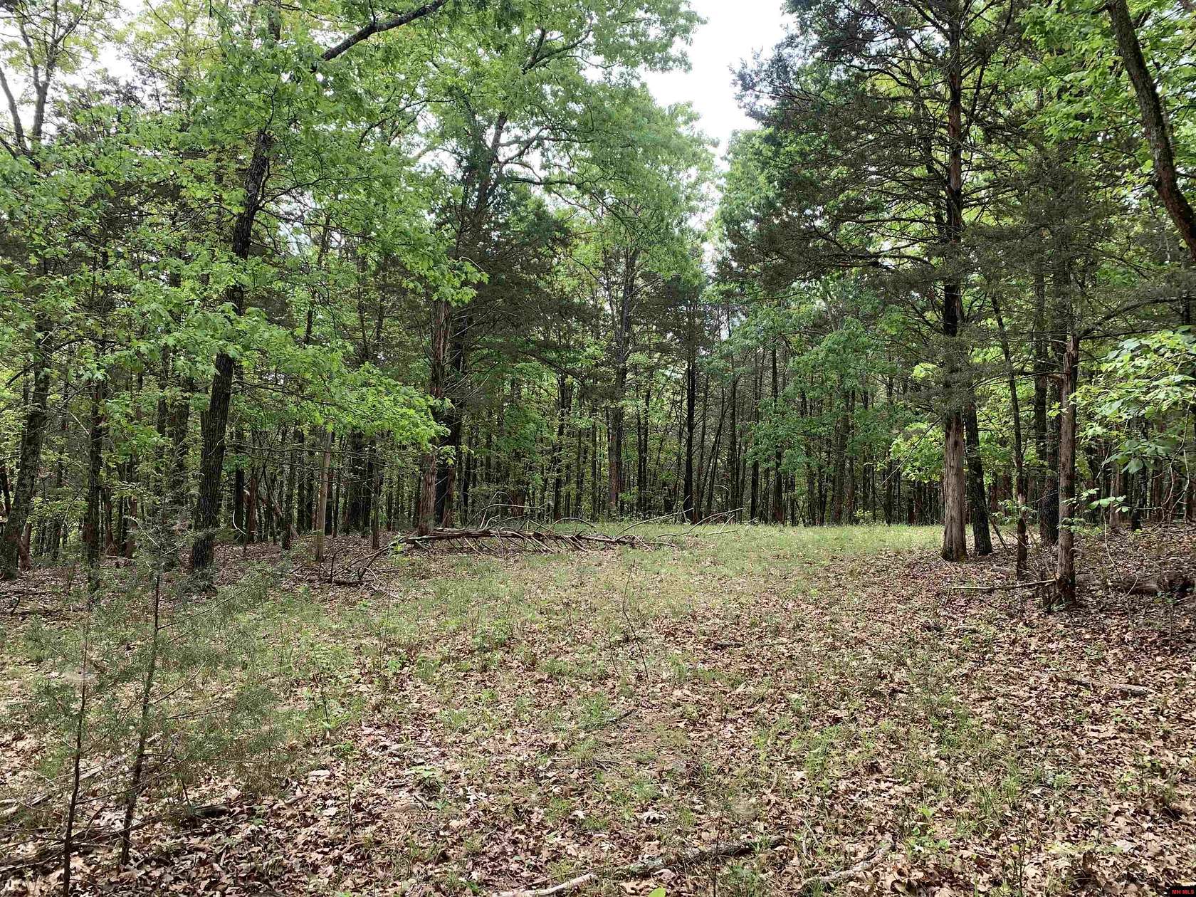 17.3 Acres of Land for Sale in Flippin, Arkansas