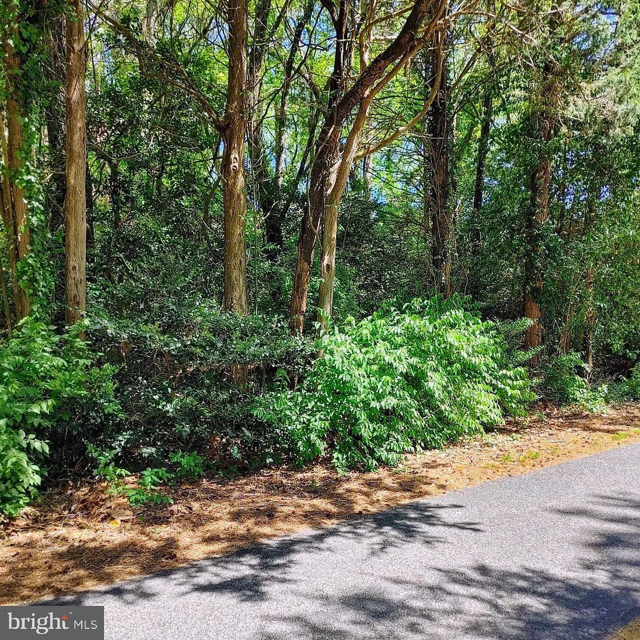 1 Acre of Residential Land for Sale in Lexington Park, Maryland