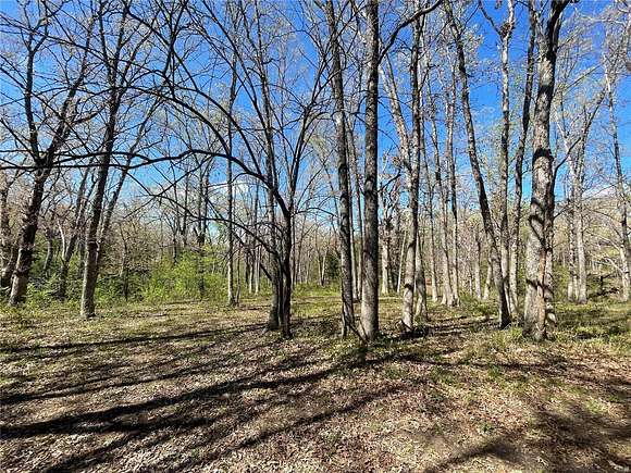 12.3 Acres of Land for Sale in Center, Missouri