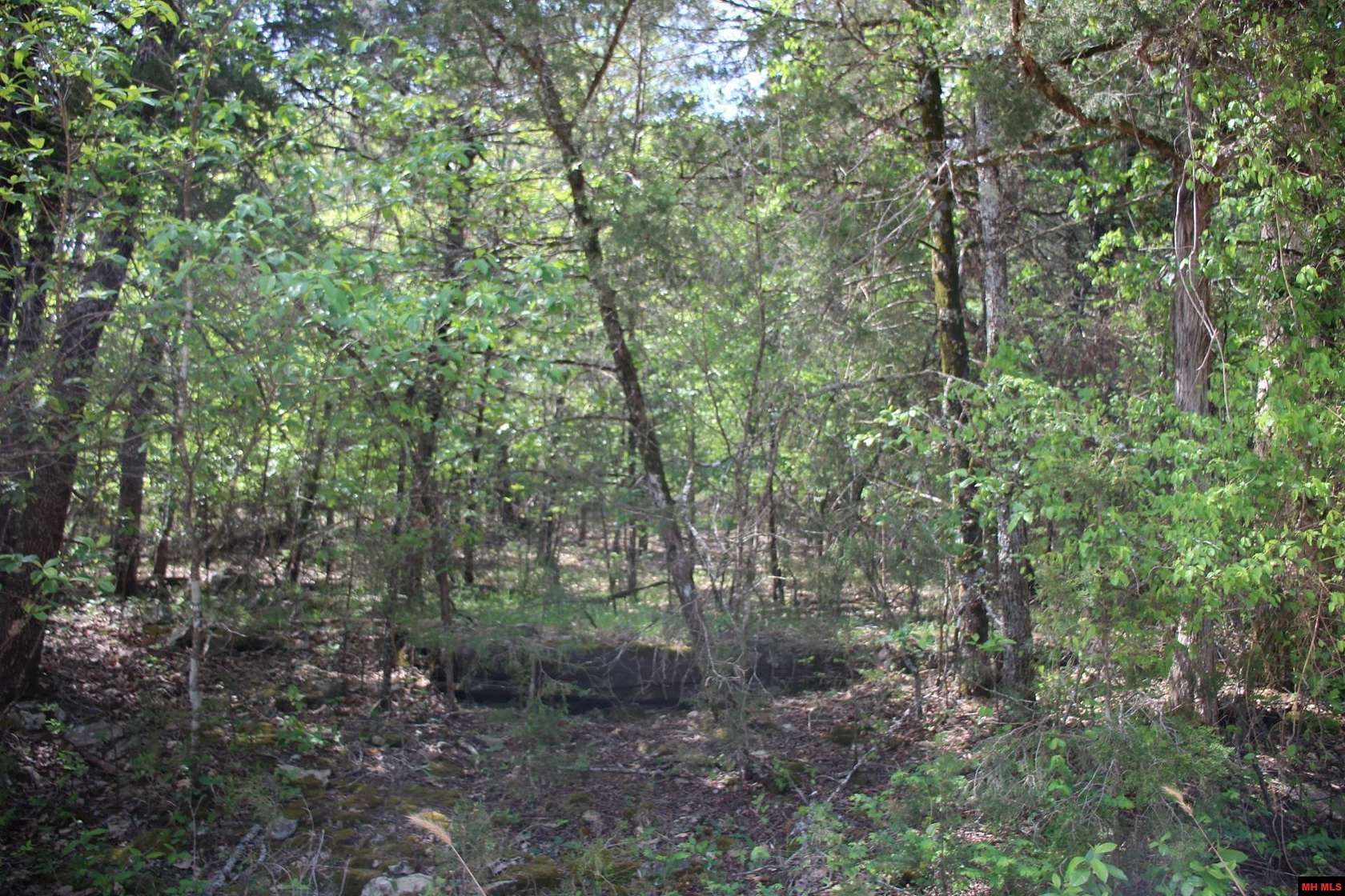 0.34 Acres of Residential Land for Sale in Lead Hill, Arkansas