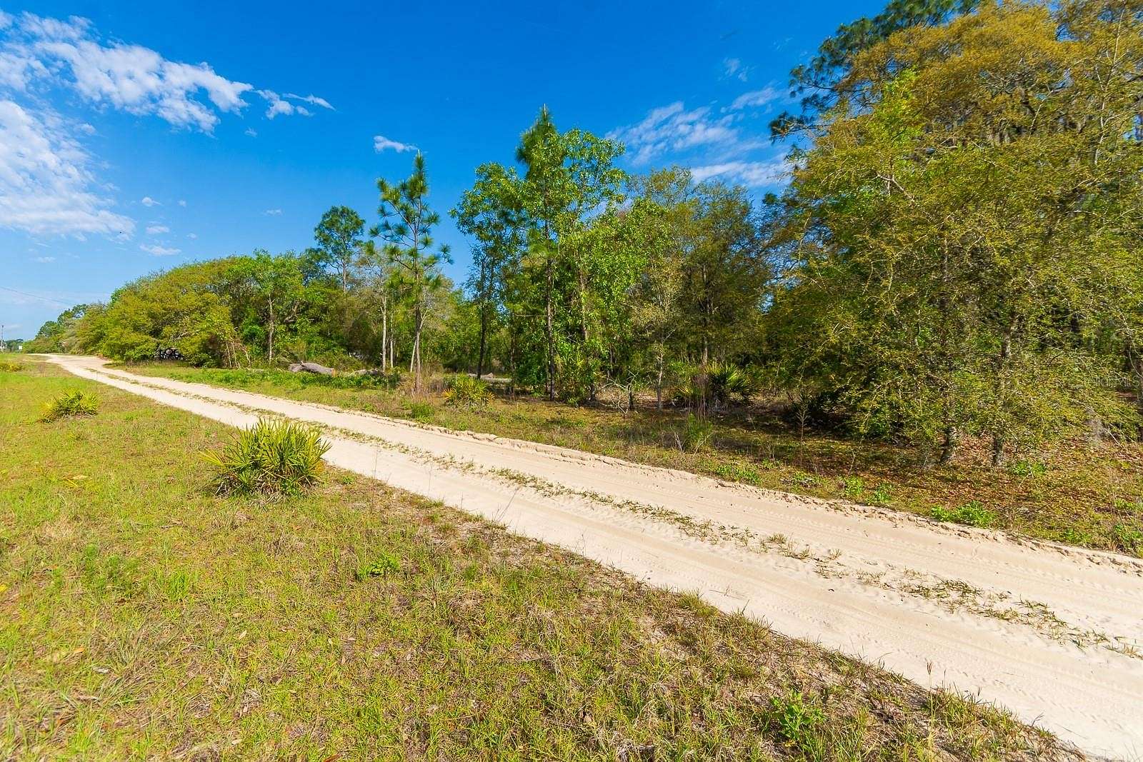 0.24 Acres of Residential Land for Sale in Williston, Florida