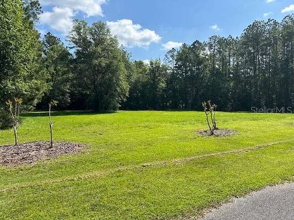 1 Acre of Land for Sale in Worthington Springs, Florida