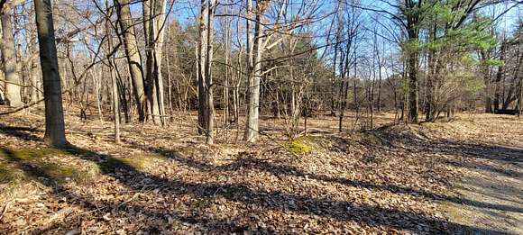 20.1 Acres of Recreational Land & Farm for Sale in Rothbury, Michigan