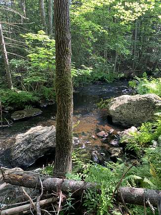 23 Acres of Land for Sale in Waldo, Maine