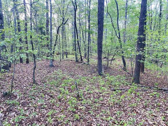 2.6 Acres of Land for Sale in Rutherfordton, North Carolina