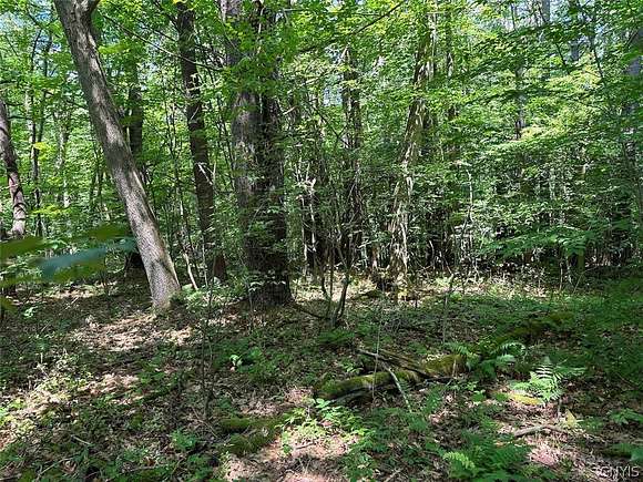 5 Acres of Land for Sale in Wirt, New York
