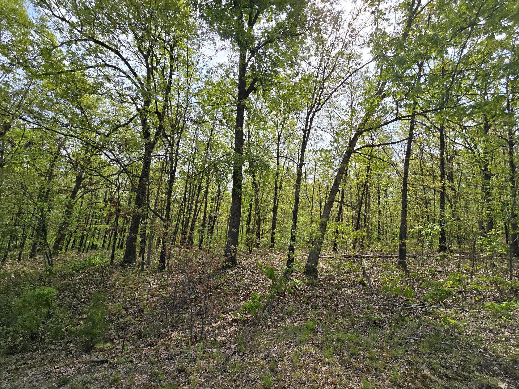 3.9 Acres of Residential Land for Sale in Tunas, Missouri