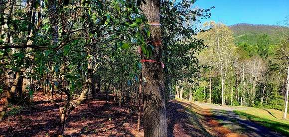 1.6 Acres of Land for Sale in Hayesville, North Carolina