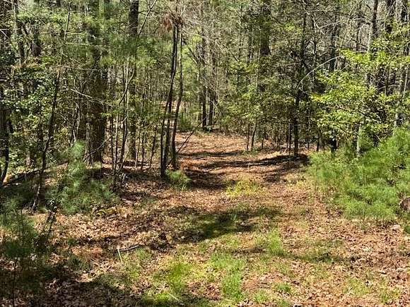 2.5 Acres of Land for Sale in Suches, Georgia