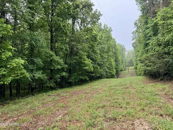 36 Acres of Recreational Land for Sale in Lexington, Mississippi