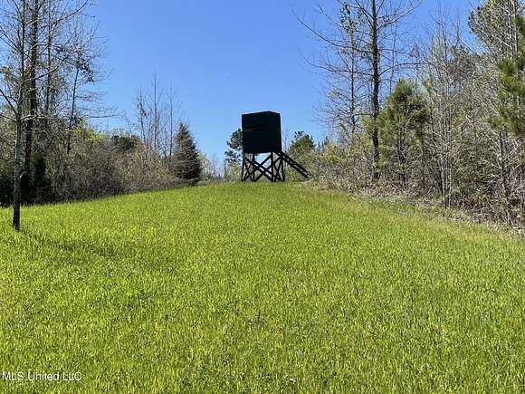 244 Acres of Recreational Land for Sale in Ethel, Mississippi