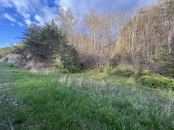 50 Acres of Land for Sale in West Liberty, Kentucky